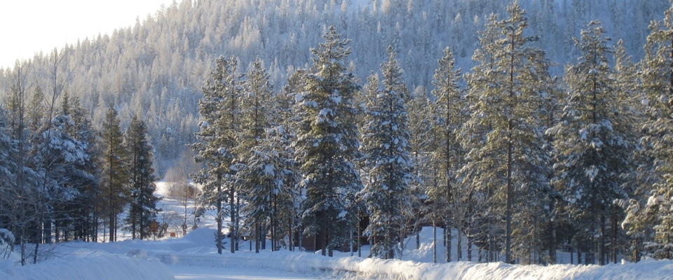 Want to work in Finland? Want to work in Finland?