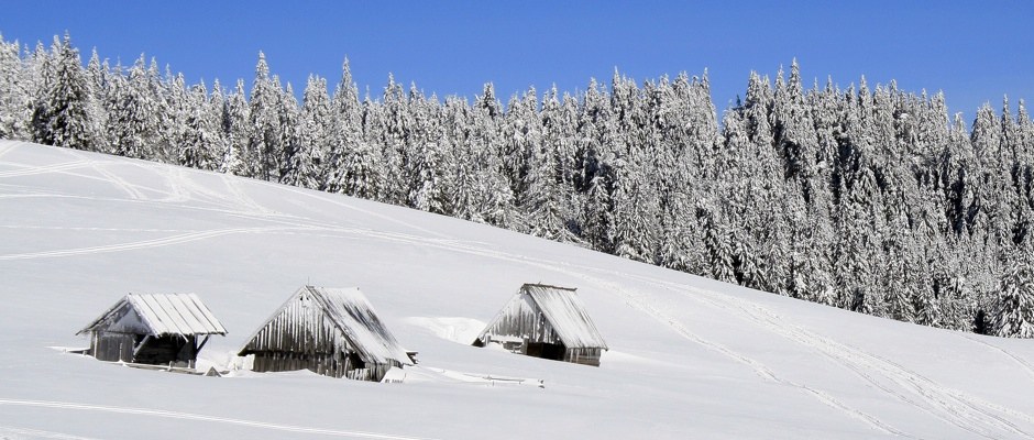 Latest ski & snowboard news from around the
world